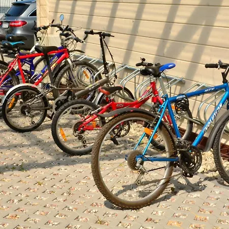 Piasek I Woda Drewniane W Grzybowie *